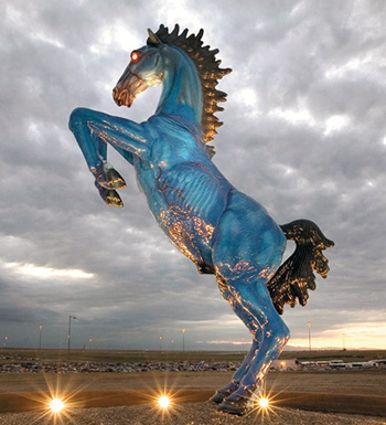 2014 год - год синего коня?