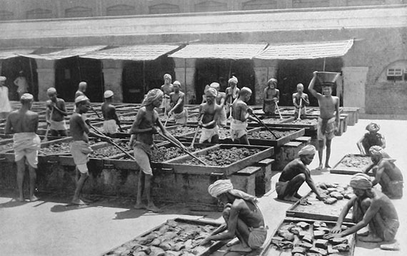 Производство опиума в колониальной Индии